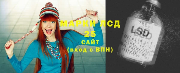шишки Аркадак