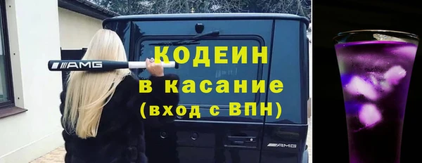 шишки Аркадак