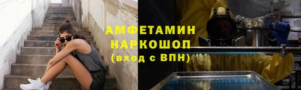 шишки Аркадак