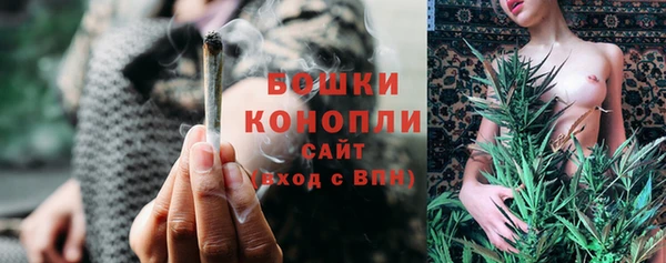 шишки Аркадак