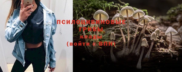круглые Армянск