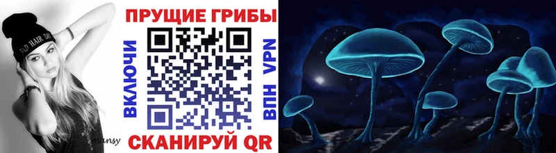 Галлюциногенные грибы Magic Shrooms  Купить где  Строитель 