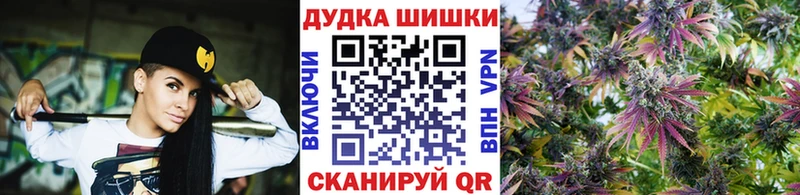 Купить закладки  Строитель  Шишки марихуана марихуана 